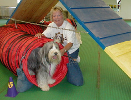 Chris Schachter consultant and agility instructor at Go Over Rover Dog Training in West Bend